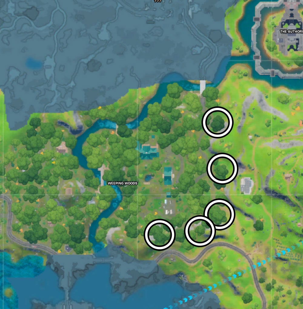 Fortnite Floating Rings at Weeping Woods explained